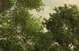 《模拟农场25》冬季种植要做事情介绍