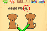 最强大脑闯关第2关攻略  最强大脑闯关攻略2关