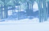《对马岛之鬼》PC版特性预告 支持超宽屏