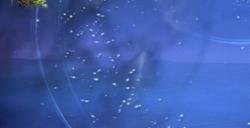 《艾尔登法环：黑夜君临》打蝗灾技巧分享