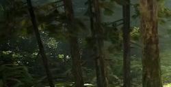 《最后的生还者2：重制版》光追MOD展示 RTX 5090