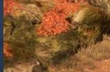 卡牌构筑RPG冒险游戏《月之冕》Steam页面 发售日待定