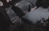 《最后纪元》致盲词条作用介绍
