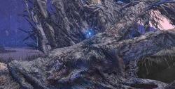 艾尔登法环谷底灵灰在哪里获得 DLC谷底灵灰获取攻略