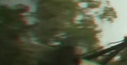 《猎杀：对决》堡垒作用分享