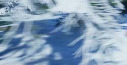 《幻兽帕鲁》boss铠格力斯在哪