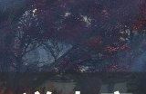 《逆水寒》如何获得宝宝 宝宝获取具体方法详情