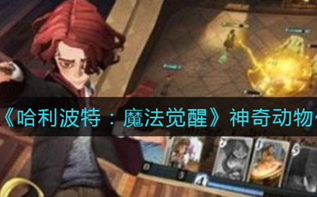 哈利波特魔法觉醒神奇动物保护课怎么打  神奇动物保护课打法攻略