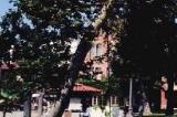 南加州大学斥巨资启动计算科学前沿计划,涉及人工智能、区块链等