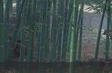 《逆水寒手游》拼图崖壁怎么做 桃溪村拼图崖壁操作攻略
