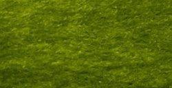 传闻：下一个《FIFA》游戏由2K打造
