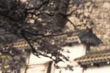 《刺客信条：影》总监讨论双主角占比：核心内容随便选谁