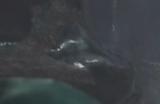 《怪物猎人荒野》约翰尼德普捏脸数据分享