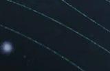 《星空》首发不提供FOV设置 又要交给玩家自己解决了