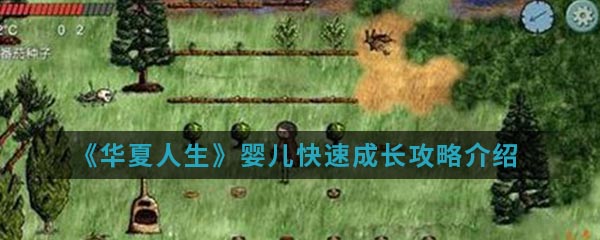 《华夏人生》婴儿快速成长攻略介绍