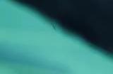 《最终幻想7重生》故事篇预告 2月29日发售