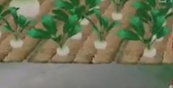 小森生活npc好感度礼物介绍