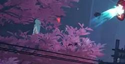 《漫威争锋》开发者讨论环境破坏：仅限部分区域