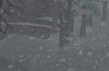 《漫漫长夜》林狼雪岭钢锯在哪