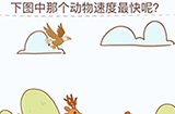 烧脑大挑战游戏第1关攻略  下图中哪个动物速度最快呢