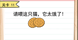 我答题贼6第11关攻略  请喂这只猫它太饿了