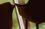 《完蛋！我被美女包围了！》移动版上线 主机版8月8日发售
