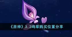 原神3.2鸣草购买位置在哪  3.2鸣草购买位置分享