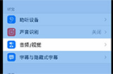 关于iPhone音频上容易忽略的设置  调整音频和视觉