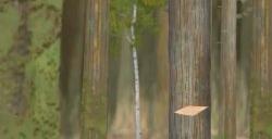 手绘短篇叙事游戏《Pine: A Story of Loss》年内登陆NS/PC