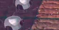 《牧野之歌》蝶影迷踪的蝴蝶队长位置介绍