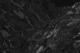 《真人快打1》将加入Smoke和Rain