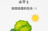 脑力游戏谜题第2关攻略  拯救枯萎的花朵