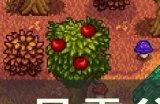 《星露谷物语》春季节日介绍 春季详细攻略