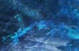 《艾尔登法环：黑夜君临》新手上手指南