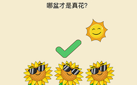 全民烧脑新版第4关攻略  哪盆才是真花