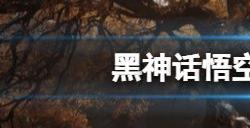 黑神话悟空预购奖励是什么 黑神话悟空预购奖励领取方法