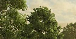 《模拟农场25》冬季种植要做事情介绍