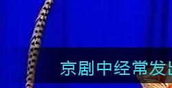 京剧中经常发出洪亮粗犷叫声的是哪个行当