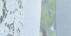 光荣《维纳斯璀璨假期：死或生沙滩排球》正式公开