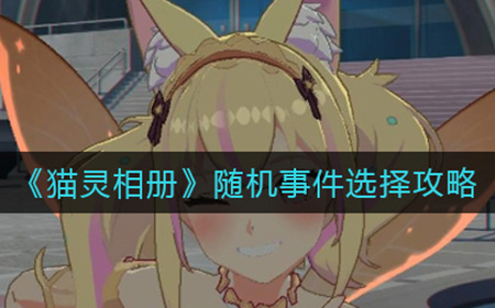 猫灵相册随机事件怎么选择  随机事件选择攻略