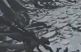《堕落之主》残废者之弓得到方法