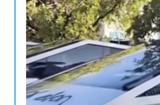 辱骂马斯克！数十辆特斯拉Cybertruck遭遇恶意涂鸦