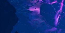 《无主之地4》被称为Gearbox宇宙转折点 新派系和首领介绍