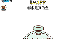 脑洞大大大第177关攻略  哪条是真的鱼