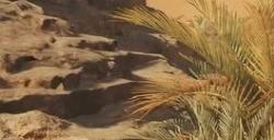 《怪物猎人：荒野》需付费捏脸 引起玩家争议