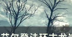 《艾尔登法环》古龙岩失色锻造石在哪里 古龙岩失色锻造石全收集攻略