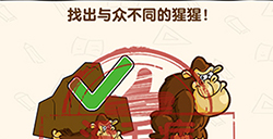脑洞先生第157关攻略  找出与众不同的猩猩