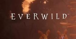 《Everwild》还活着：Rare正为项目招聘视频制作人