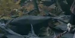 艾尔登法环观星者怎么加点 法师加点观星者攻略