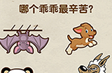 脑力达人第8关攻略  哪个乖乖最辛苦